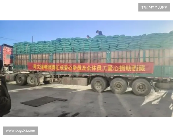 百万元捐款助力西藏地震灾后重建公益基金会全力支持灾区恢复与重建 百万元捐款助力西藏地震灾后重建公益基金会全力支持灾区恢复与重建